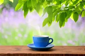 تغذیه مناسب برای کاهش استرس