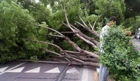 طوفان امروز تهران چه خسارتهایی به جا گذاشت؟ | مردم تا چند ساعت آینده هشیار باشند