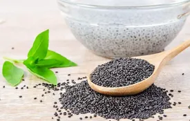 این گیاه جادویی درد شکم را سه سوته رفع می‌کند