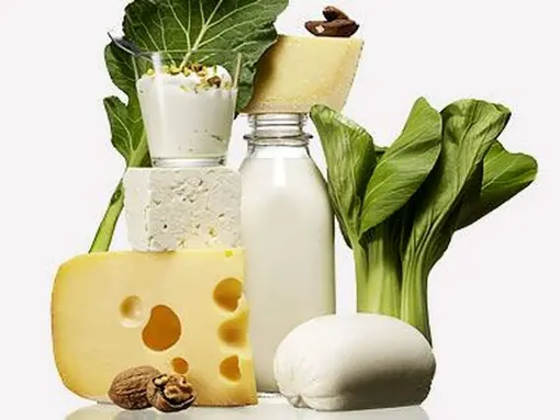 خوراکی‌هایی که کلسیم بدن را تامین می‌کنند