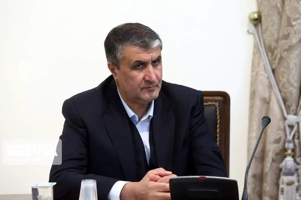 رئیس سازمان انرژی اتمی: ایران قصد دستیابی به سلاح هسته ای را ندارد