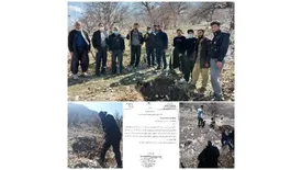 کاشت بلوط در سطح ۵۰هکتار از کوه‌های چوار توسط پتروشیمی ایلام