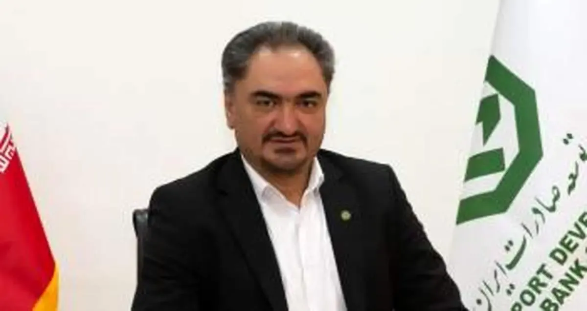 تشریح ظرفیت‌های بانک توسعه صادرات در همایش کرمان آیدکس