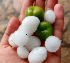 بارش تگرگ به اندازه گوجه سبز در طرقبه مشهد/ عکس