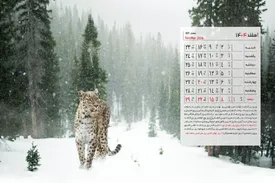 تقویم مناسبت‌ها و تعطیلی‌های اسفند ۱۴۰۴/ عکس