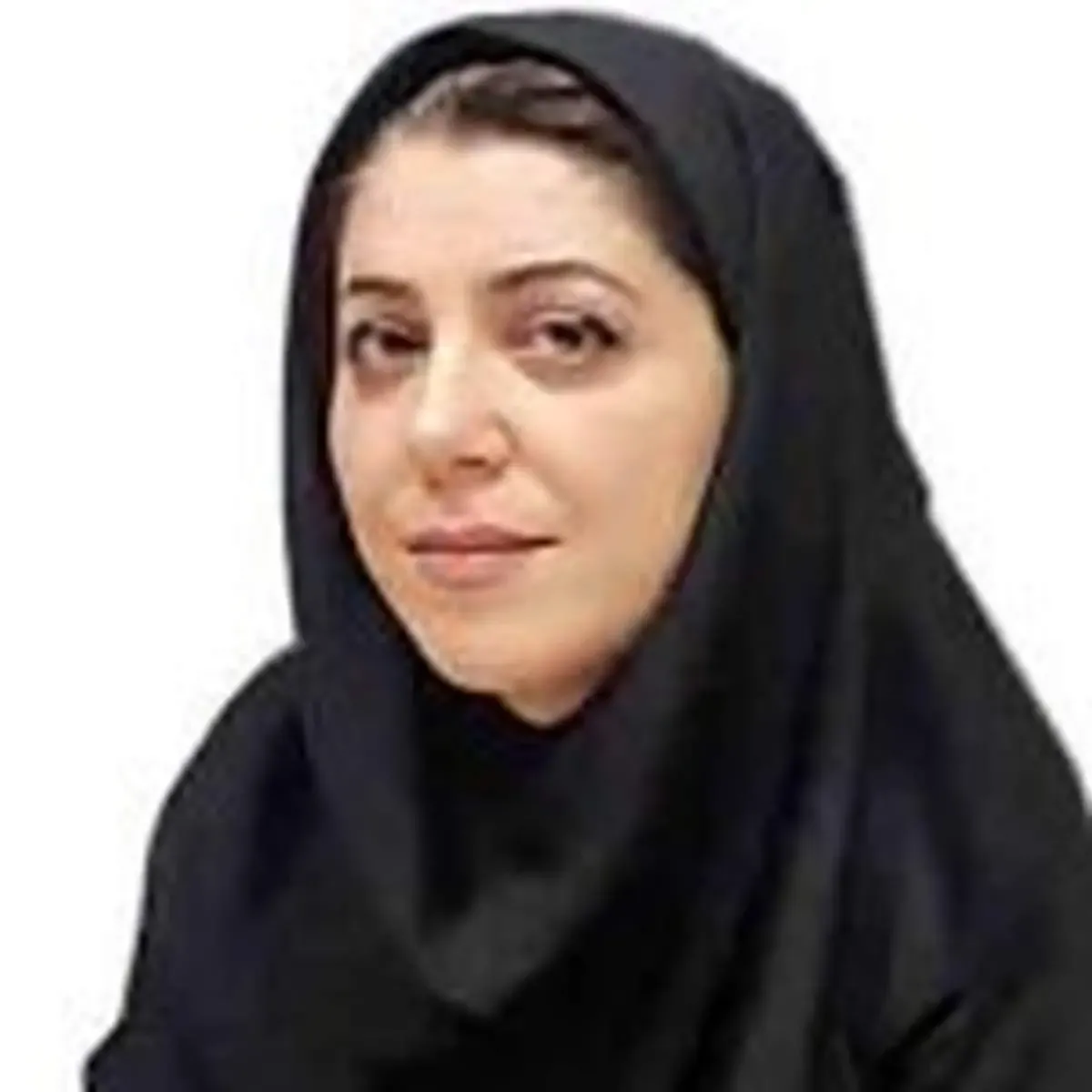 نظامی و خرده روایت‌های سیاسی