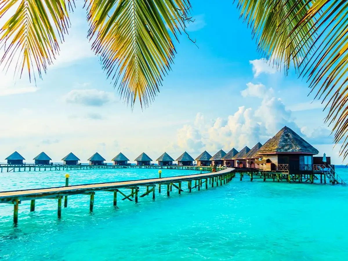 سفر از سبلان به گرمای جنوب با خرید ارزان پرواز اردبیل کیش