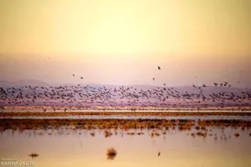 یک دریاچه دیگر در ایران خشک شد