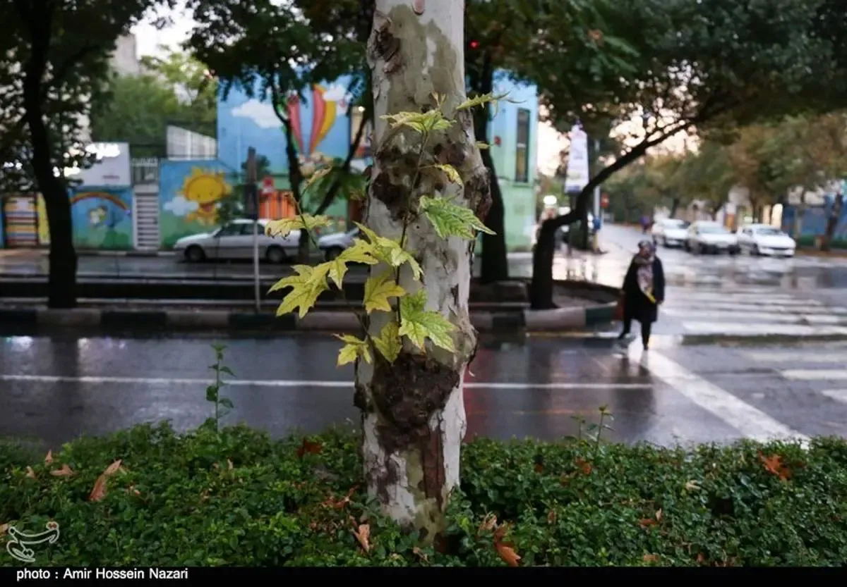 باد و باران در راه قزوین