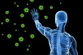 سیستم ایمنی بدن چگونه شکل میگیرد؟
