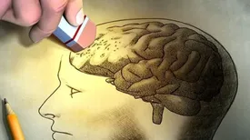 این خوراکی خوشمزه باعث آلزایمر می شود!