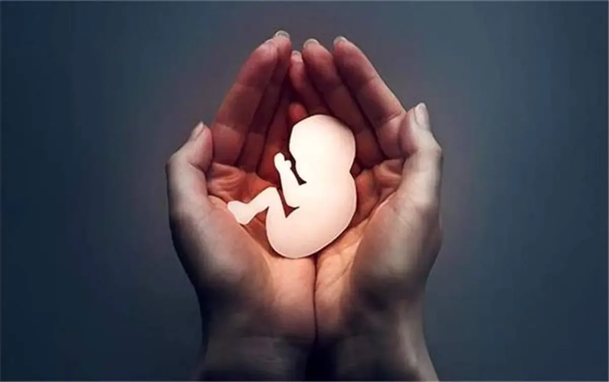 گروه نفس ؛ گشت مقابله با سقط جنین راه‌اندازی شد/ پرونده قضایی در انتظار متخلفان