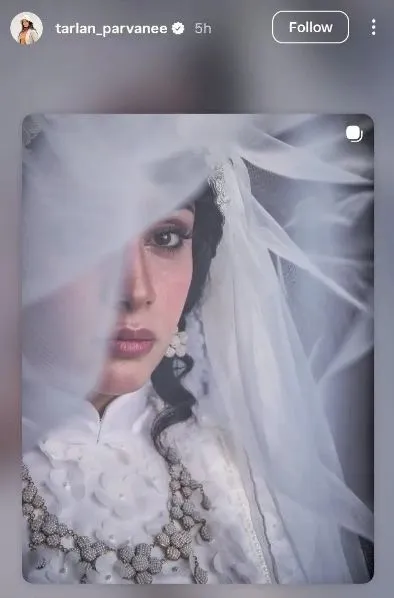 ترلان ترلان