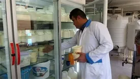 نرخ ۶۴۰۰ تومانی شیرخام موجب افزایش قیمت لبنیات می شود