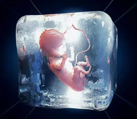 تخمک فریز شده را تا چند سال می توان نگهداشت؟