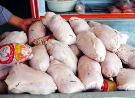  تخم‌مرغ ارزان شد/ مرغ ۲۲۵ هزار تومان