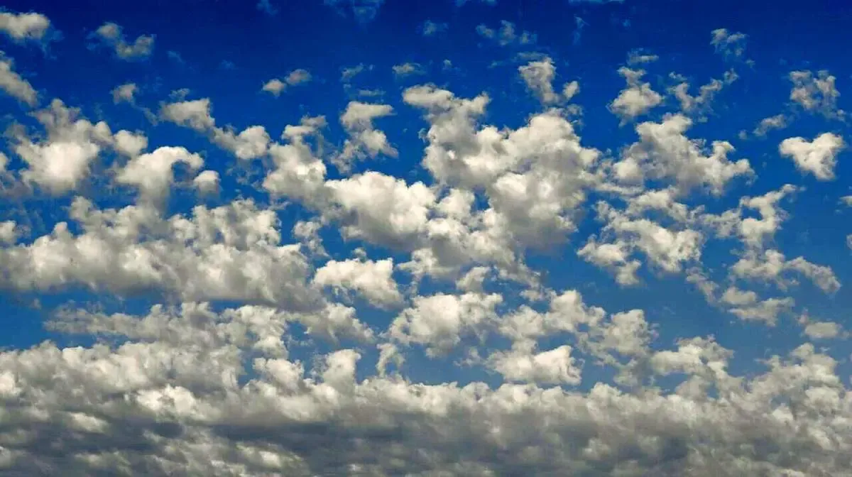 رنگ سال ۲۰۲۶ رسماً اعلام شد/عکس