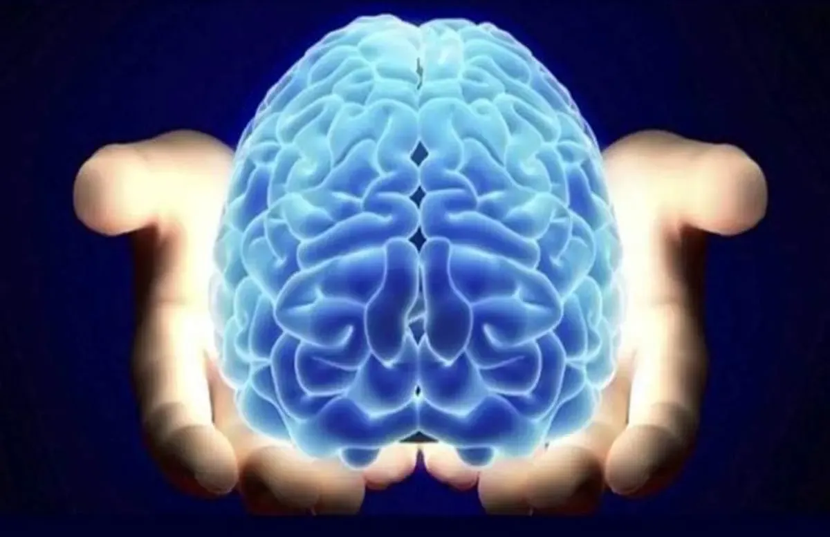 ۴ نکته برای بهبود حافظه