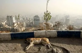 شاخص آلودگی هوا تهران عصر امروز سه‌شنبه ۱۸ آذر/ دوباره ناسالم شد