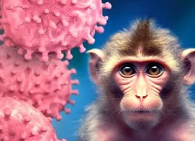 ابتلا به آبله میمون در همسایگی ایران/ جزئیات