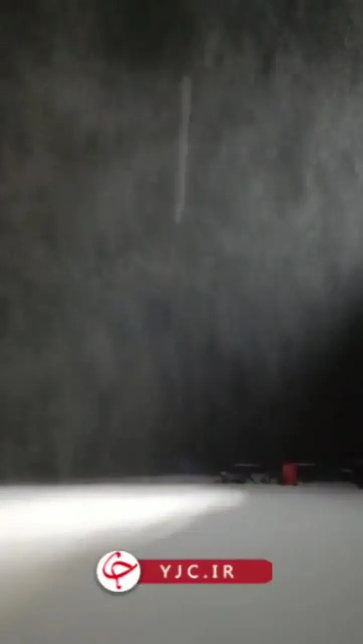 بارش شدید برف به تهران رسید/ببینید