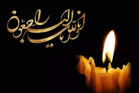 نویسنده وکارگردان برجسته درگذشت/ حمید رضایی کیست؟