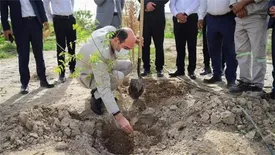 نکوداشت روز درختکاری در منطقه ویژه اقتصادی لامرد