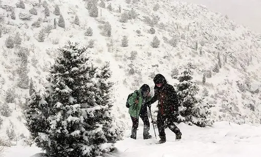 هفته بارانی ایران؛ از بارش‌های شمال تا سرمای زیر صفر پایتخت