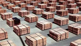 معاملات گواهی سپرده «مس کاتد» از فردا اجرایی میشود