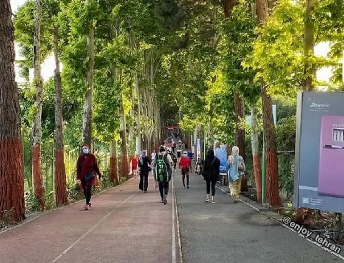 با این کارهای ساده سلامت قلبتان را تضمین کنید