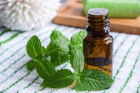 طرز تهیه عرق نعنا خانگی
