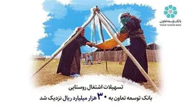 تسهیلات اشتغال روستایی بانک توسعه تعاون به 30 هزار میلیارد ریال نزدیک شد