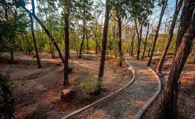 کشف محموله خرس، راکون و سنجاب در تهران!