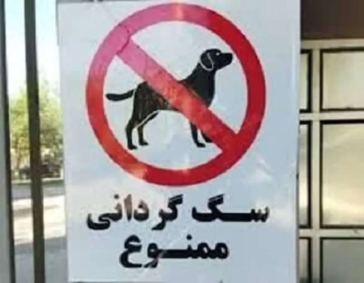 سگ گردانی در این شهر هم ممنوع شد