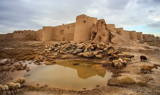 ارگ تاریخی شهر بلقیس/عکس : پیمان حمیدی پور