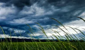 سازمان هواشناسی برای شنبه ۲۲ شهریور اطلاعیه هشدار داد