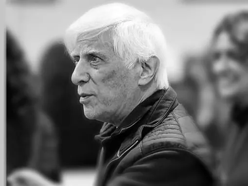 غریبه در مه فرو  رفت