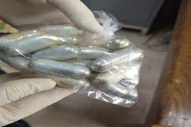 از مقصد لاتاری تا بلع کوکائین در تهران