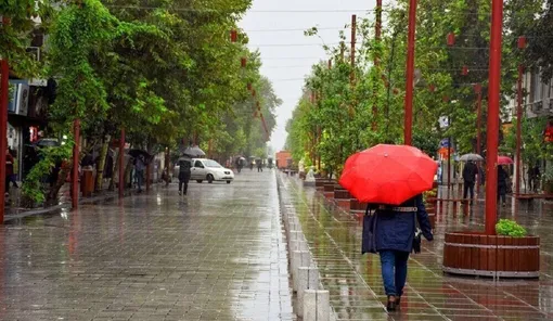 بارش باران و وزش باد شدید در این استان‌ها