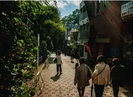 راز افزایش طول عمر ژاپنی‌ها مشخص شد؟