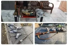 کشف ۹ قبضه سلاح از متخلفان شکار غیرمجاز در شهرستان ری