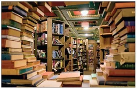 شمارگان متوسط آثار ادبی در کانال 600 نسخه