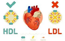 میوههای سالم برای کاهش سطح کلسترول بد