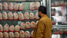 هشدار درباره وضعیت نهادهها در کشور