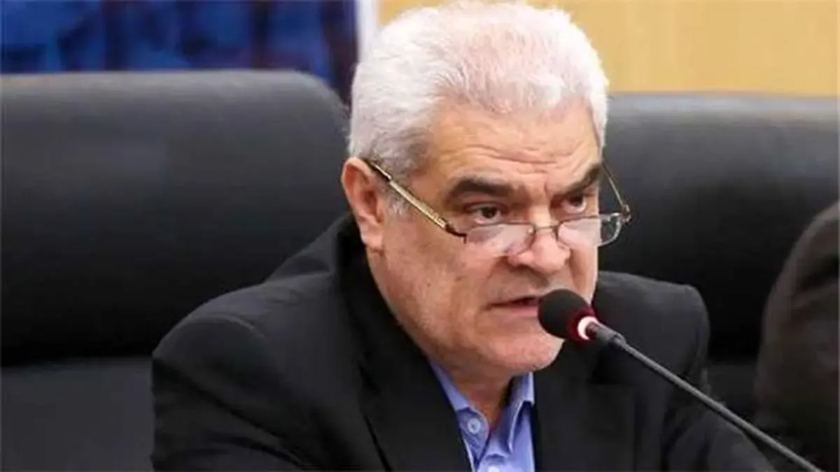 تاکید معاون وزیر صمت بر آمادگی ایدرو برای مشارکت با شرکت های دانش بنیان