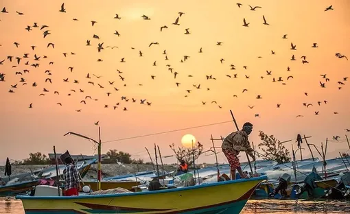 تالاب خور سیریک/ عکس :عرفان سامان فر