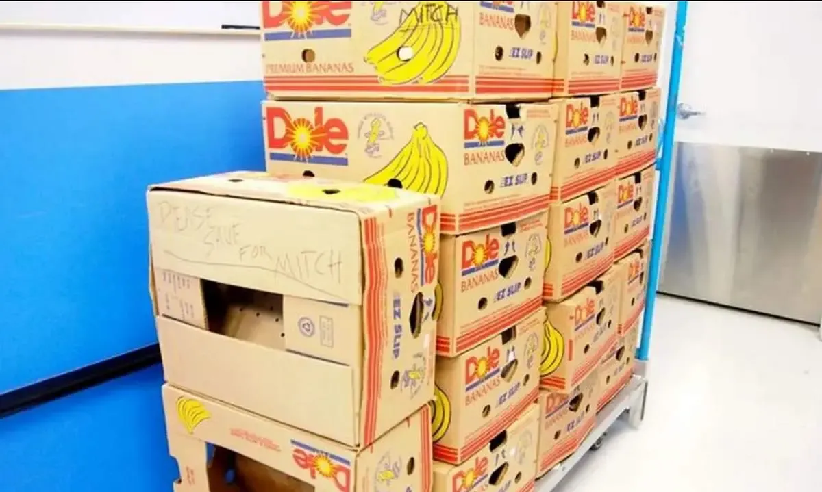 قیمت کارتن موز نجومی شد!