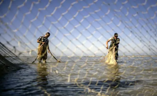 آغاز فصل صید ماهی - دریای خزر/عکس:کیوان جعفری