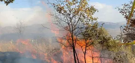 خیلی نگرانیم!