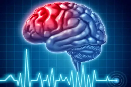 تاثیر ورزش بر سلامت مغز